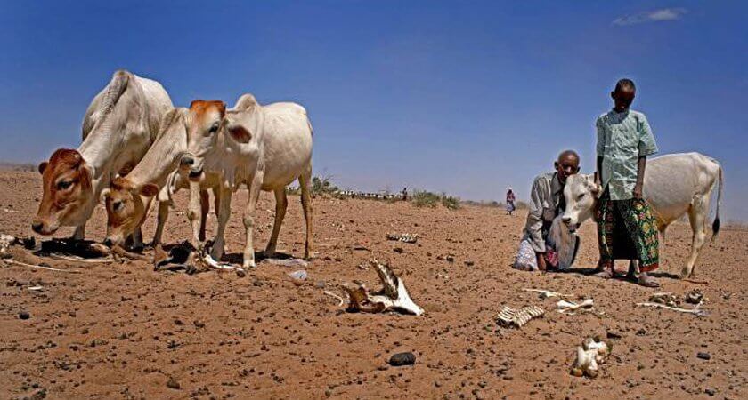 Crisis Narratives and the Ongoing Drought in Ethiopia