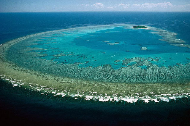 Why Dying Coral Reefs Will Bring Planetary Instability