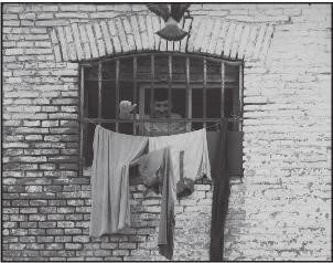 Citizens United for Rehabilitation of Errants (C.U.R.E.)