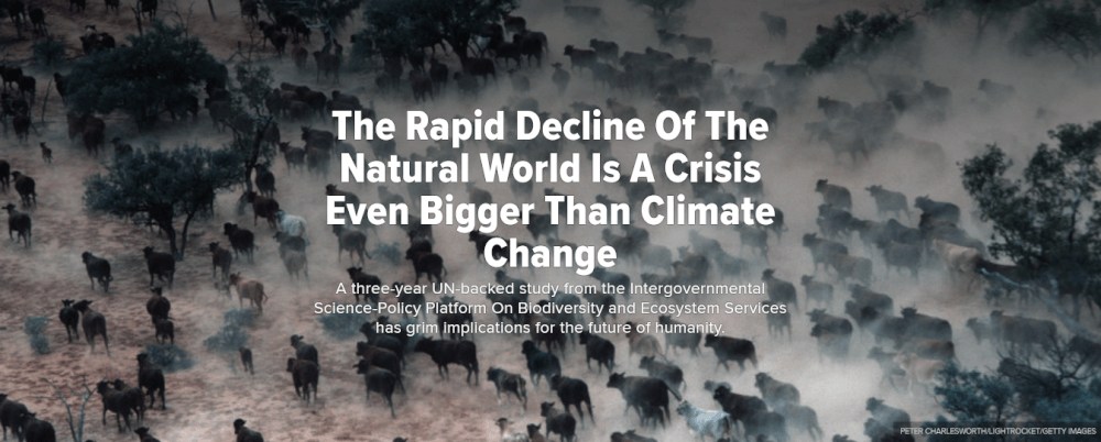 The Rapid Decline Of The Natural World Is A Crisis Even Bigger Than Climate Change