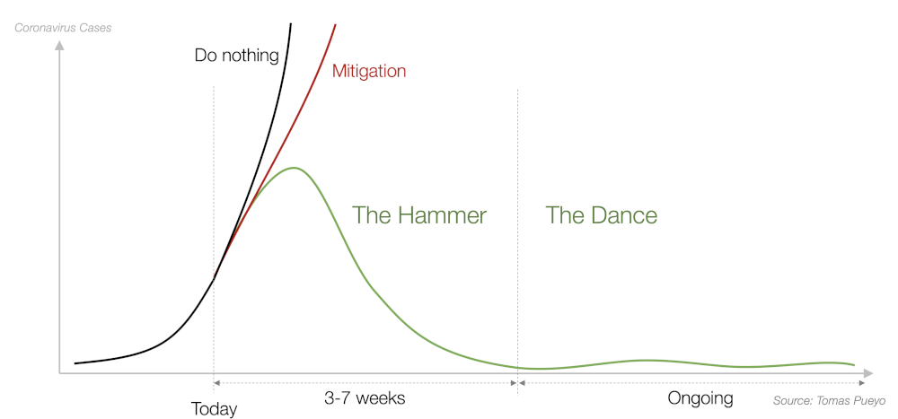 Coronavirus: The Hammer and the Dance