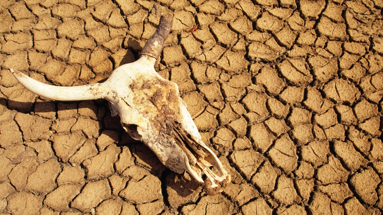 Wall Street May Finally Be Taking Climate Change Seriously