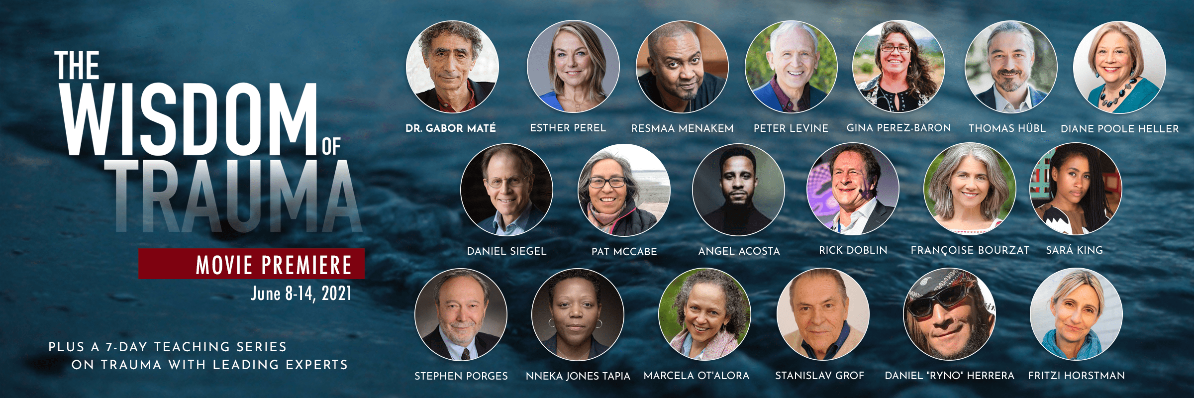 The Wisdom of Trauma