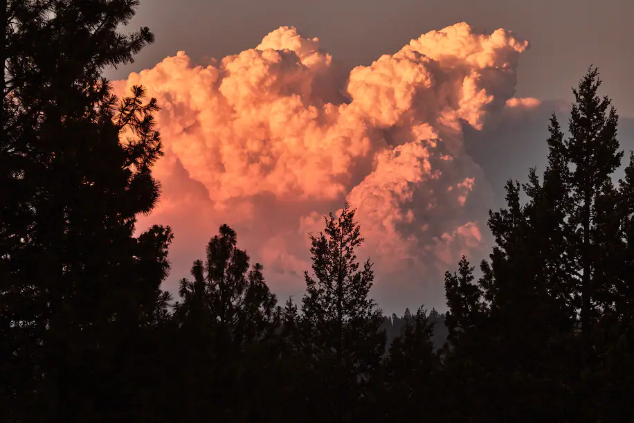 Opinion: We are fiddling while the world burns, floods and chokes