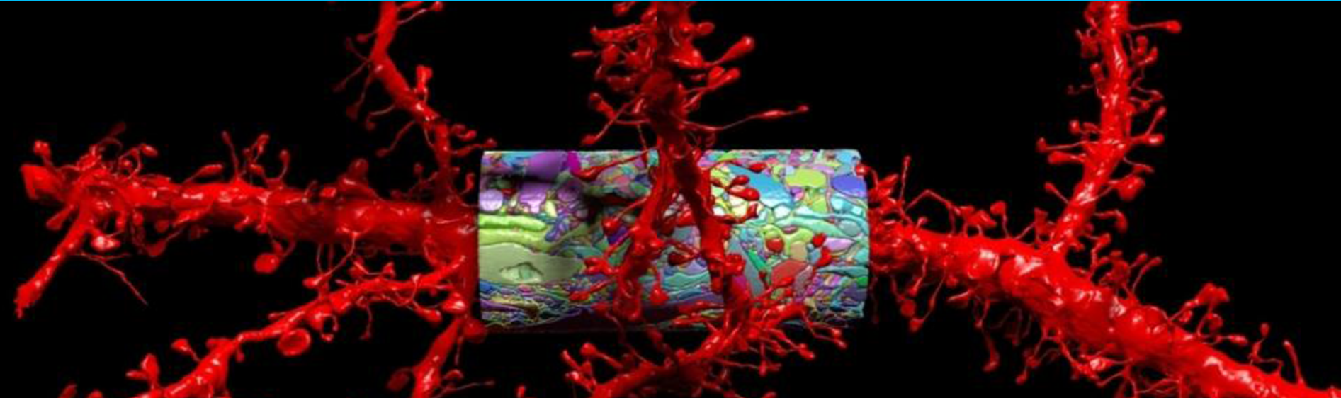 Interaction With “Neuroscience’s Existential Crisis”