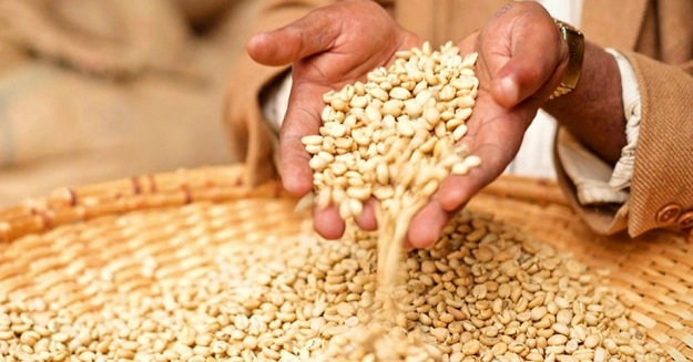 Vandana Shiva: The Great Seed Piracy